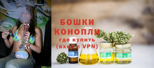 стафф Заволжье
