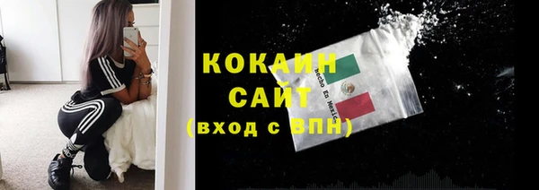 стафф Заволжье