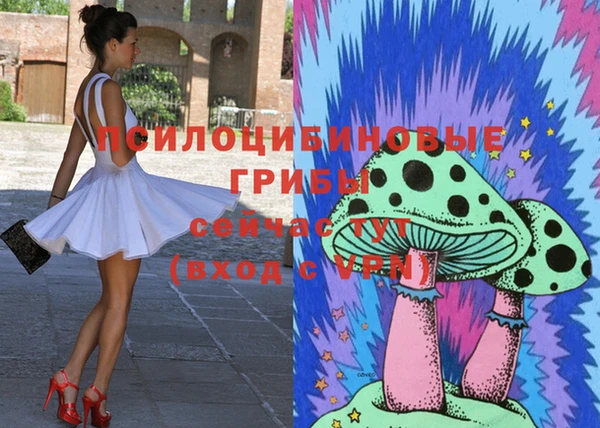 стафф Заволжье