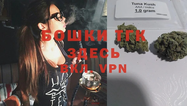 стафф Заволжье