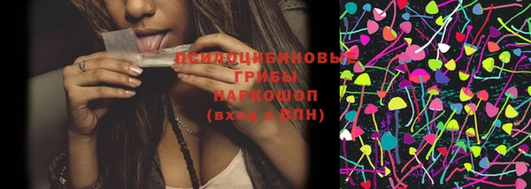 ECSTASY Заводоуковск
